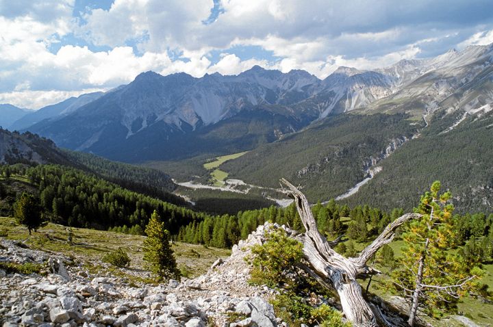 Hiking in the Swiss National Park